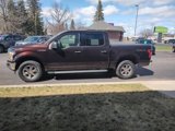 Certified 2019 Ford F150 XLT w/ Equipment Group 302A Luxury image 4
