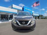 Used 2017 Nissan Murano Platinum w/ Platinum Technology Package image 2