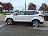 Used 2019 Ford Escape Titanium image 2