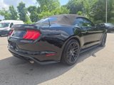 Used 2021 Ford Mustang Premium image 4