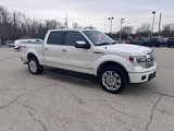 Used 2013 Ford F150 Platinum image 3