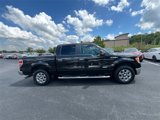 Used 2014 Ford F150 XLT w/ Equipment Group 302A Luxury image 4