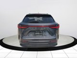 Certified 2023 Lexus NX 250 FWD image 4