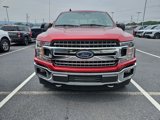 Certified 2019 Ford F150 XLT w/ Equipment Group 302A Luxury image 2