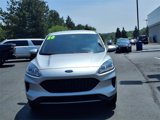 Used 2020 Ford Escape SE image 2