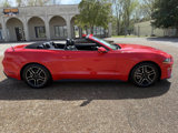 Used 2022 Ford Mustang Premium image 5