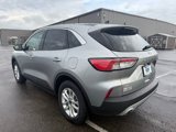 Used 2022 Ford Escape SE w/ Convenience Package image 4