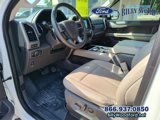 Used 2021 Ford Expedition XLT image 2