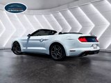 Used 2019 Ford Mustang Premium image 6