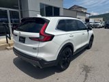 Used 2024 Honda CR-V Sport Touring image 3