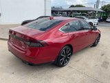 Used 2024 Honda Accord Touring image 5