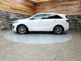 Used 2017 Kia Sorento SX image 4
