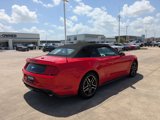Used 2023 Ford Mustang Premium image 3