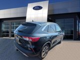 Certified 2022 Ford Escape SEL w/ Technology Package image 2