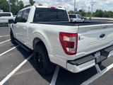 Used 2023 Ford F150 Lariat image 5