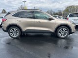 Used 2020 Ford Escape SEL image 4