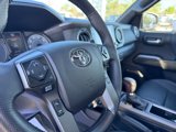 Used 2021 Toyota Tacoma TRD Pro image 3