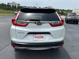 Used 2019 Honda CR-V LX image 4