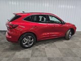 Used 2024 Ford Escape ST-Line w/ Tech Pack #1 image 3