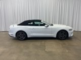 Used 2022 Ford Mustang Premium image 2