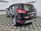 Used 2013 Ford Escape SEL image 4