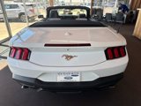New 2025 Ford Mustang Premium image 5