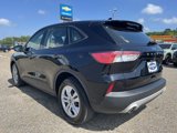Used 2020 Ford Escape S image 5