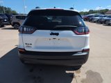 Used 2023 Jeep Cherokee Altitude Lux image 4