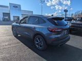 New 2025 Ford Escape ST-Line w/ Tech Pack #1 image 3