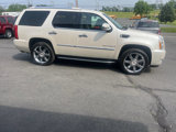 Used 2009 Cadillac Escalade AWD image 5