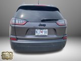 Used 2021 Jeep Cherokee Latitude Plus image 6