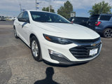 Used 2022 Chevrolet Malibu LS image 4