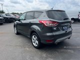 Used 2015 Ford Escape SE image 5