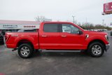 Used 2023 Ford F150 XLT w/ Equipment Group 302A High image 4