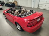 Used 2004 Ford Mustang Deluxe Convertible image 5