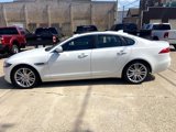 Used 2017 Jaguar XF Prestige image 4