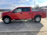 Used 2018 Ford F150 XLT image 4