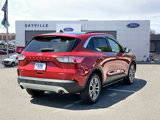Used 2022 Ford Escape SEL image 5