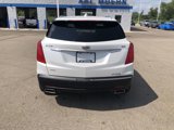 Used 2017 Cadillac XT5 Luxury w/ Driver Awareness Package image 5