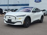 Used 2021 Ford Mustang Mach-E California Route 1 image 5