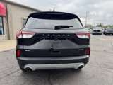 Used 2022 Ford Escape SEL image 3