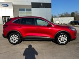 Used 2023 Ford Escape Active w/ Tech Pack #2 image 3