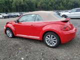 Used 2015 Volkswagen Beetle TDI image 4