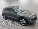 Used 2020 Ford Escape SEL image 5