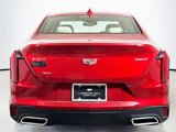 New 2025 Cadillac CT4 Premium Luxury image 4