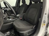 Used 2024 Ford Escape Active w/ Tech Pack #1 image 4