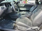Used 2019 Ford Mustang Premium image 5