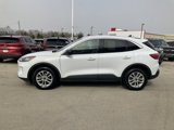 Used 2022 Ford Escape SE w/ Convenience Package image 4