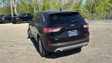 Certified 2022 Ford Escape SE image 4