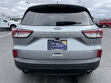 Used 2022 Ford Escape SE w/ SE Sport Appearance Package image 6